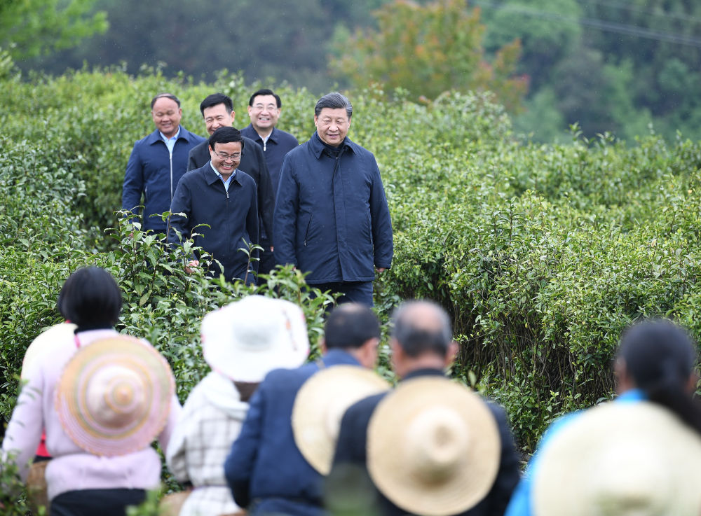 2020年4月21日，習(xí)近平來(lái)到陜西省安康市平利縣老縣鎮(zhèn)，在茶園考察脫貧攻堅(jiān)情況。新華社記者 燕雁 攝